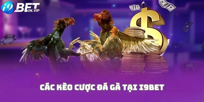 Hình minh họa hướng dẫn Asia99