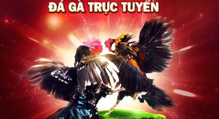 Tìm đúng nội dung về 88Clb - 88Clb
